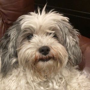 Meet your Posher, Kent